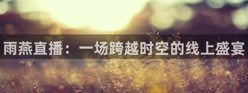 nba玩球直播手机在线直播：雨燕直播：一场跨越时空的线上盛宴