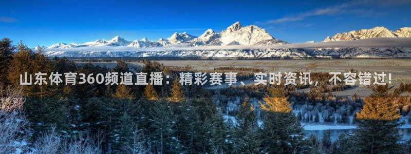 玩球直播app官方版下载：山东体育360频道直播：精彩赛事、实时资讯，不容错过!