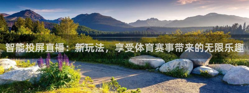 玩球直播jrs直播：智能投屏直播：新玩法，享受体育赛事带来的无限乐趣