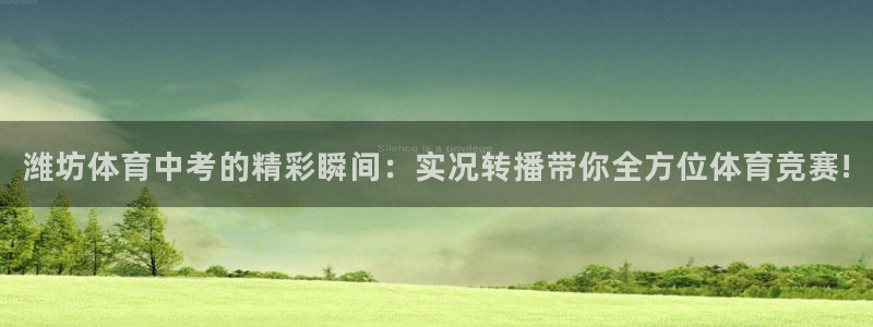 玩球直播app免费下载：潍坊体育中考的精彩瞬间：实况转播带你全方位体育竞赛!