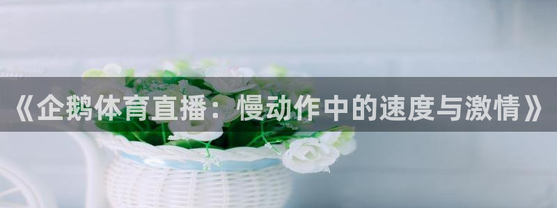 玩球直播官网：《企鹅体育直播：慢动作中的速度与激情》