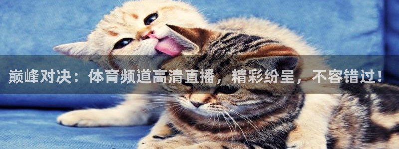 玩球直播app下载：巅峰对决：体育频道高清直播，精彩纷呈，不容错过！