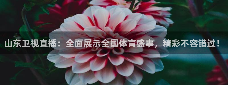 玩球直播app官网：山东卫视直播：全面展示全国体育盛事，精彩不容错过！