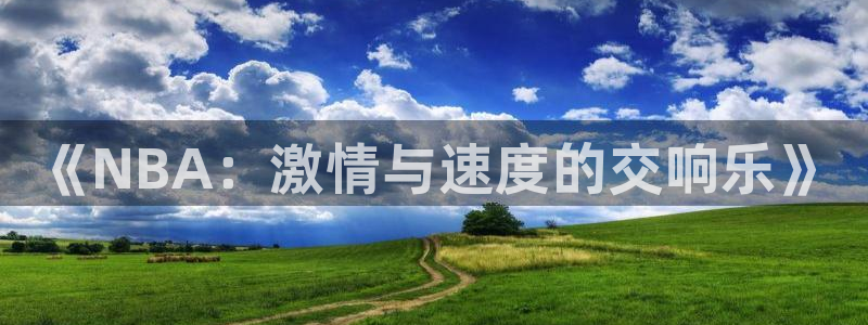 小班体育游戏玩球：《NBA：激情与速度的交响乐》