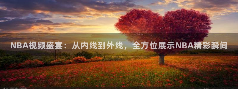 玩球直播ios版：NBA视频盛宴：从内线到外线，全方位展示NBA精彩瞬间