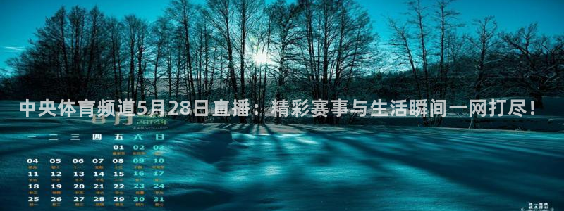 玩球体育直播app