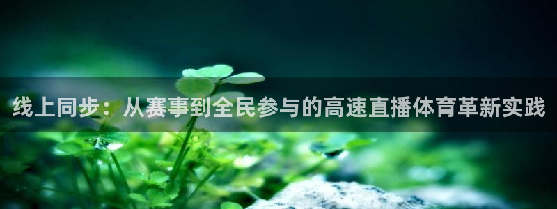 玩球球视频：线上同步：从赛事到全民参与的高速直播体育革新实践