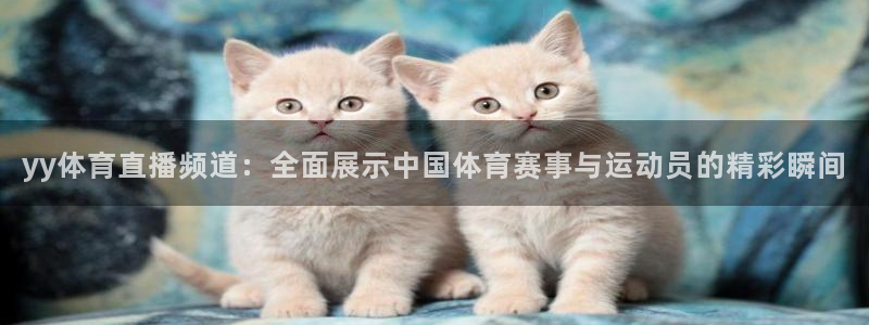 玩球体育app下载：yy体育直播频道：全面展示中国体育赛事与运动员的精彩瞬间